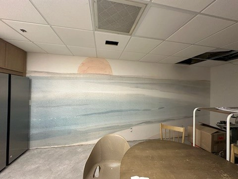 Historic Home Wallpaper Installation in San Antonio, TX