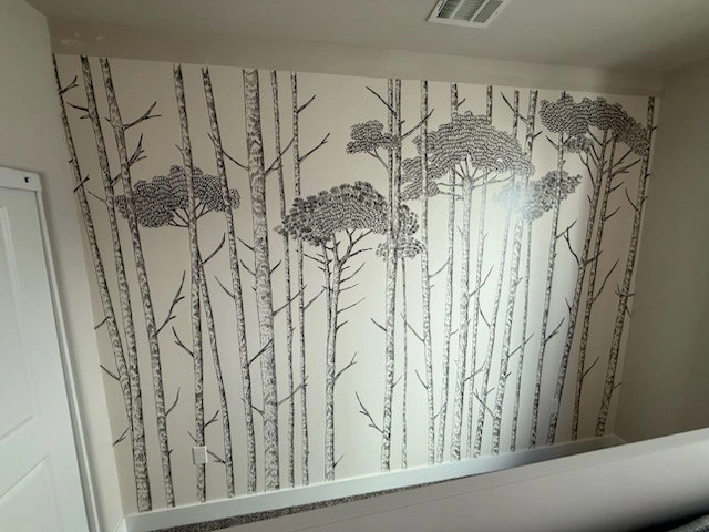 Professional Wallpaper Removal in Terrell Hills, San Antonio